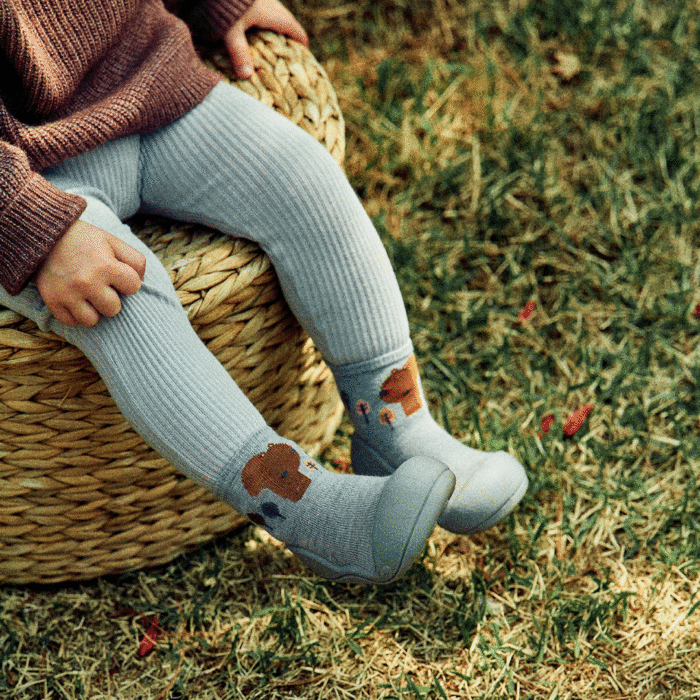 Attipas Woodland Blue Squirrel - Imagen 2